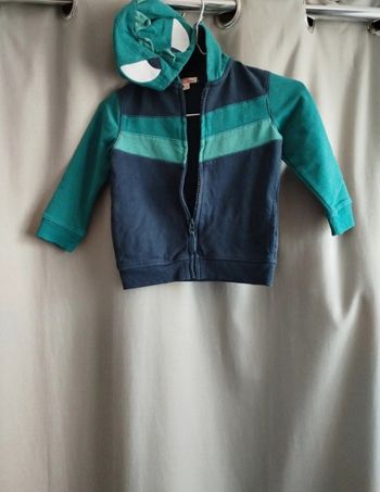 Veste zippée dinosaure