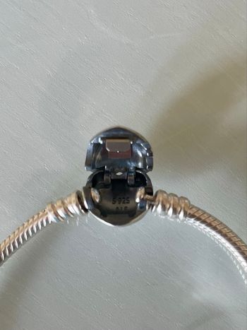 Bracelet Cœur & Maille Serpent Moments (argent massif)