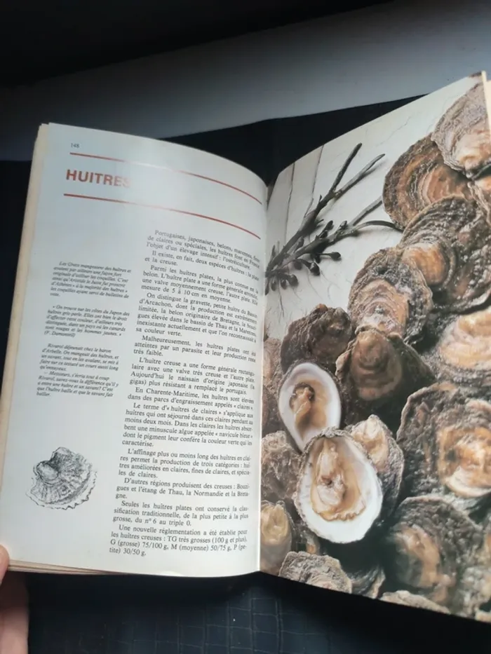 Livre de cuisine les bonnes recettes du poissonnier - photo numéro 17
