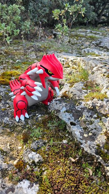 Super grande figurine Pokemon Nintendo tomy groudon
