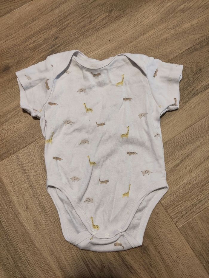 Body 6 mois