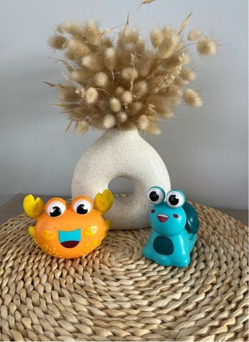 Crabe et escargot qui avance