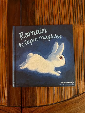 Livre Romain le lapin magicien
