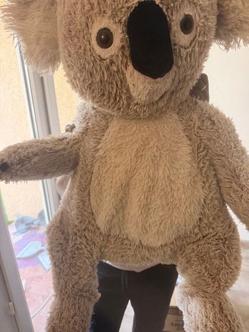 Gros koala