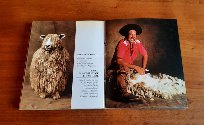 Livre Des bêtes et des hommes Yann Arthus-Bertrand - photo numéro 4