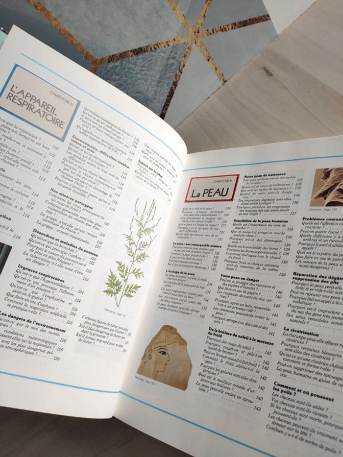 Livre grand format merveilles et secrets du corps humain questions réponses famille - photo numéro 11