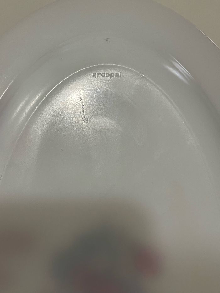 Plat Arcopal - photo numéro 3