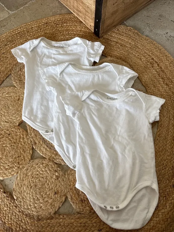 Lot de 3 bodies manches courtes Zeeman 9/12 mois