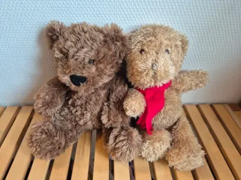 Lot de deux ours en peluche