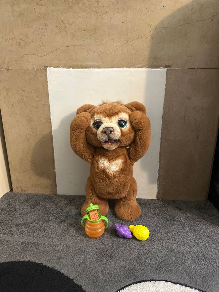 Ours fureal interactive - photo numéro 2