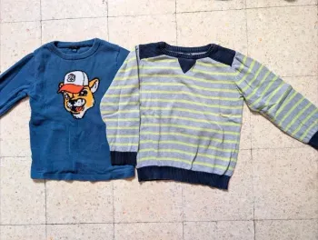 Lot de deux pulls garçons