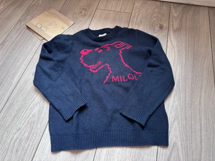 Pull Tintin Milou