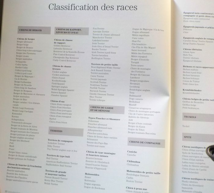 CHIENS DE BERGER Les chiens La grande encyclopédie visuelle - photo numéro 8