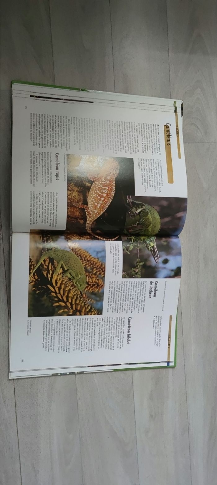 Livre - photo numéro 2