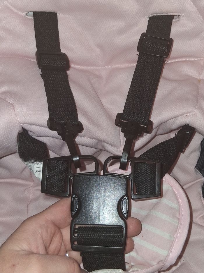 Transat Babybus - photo numéro 5