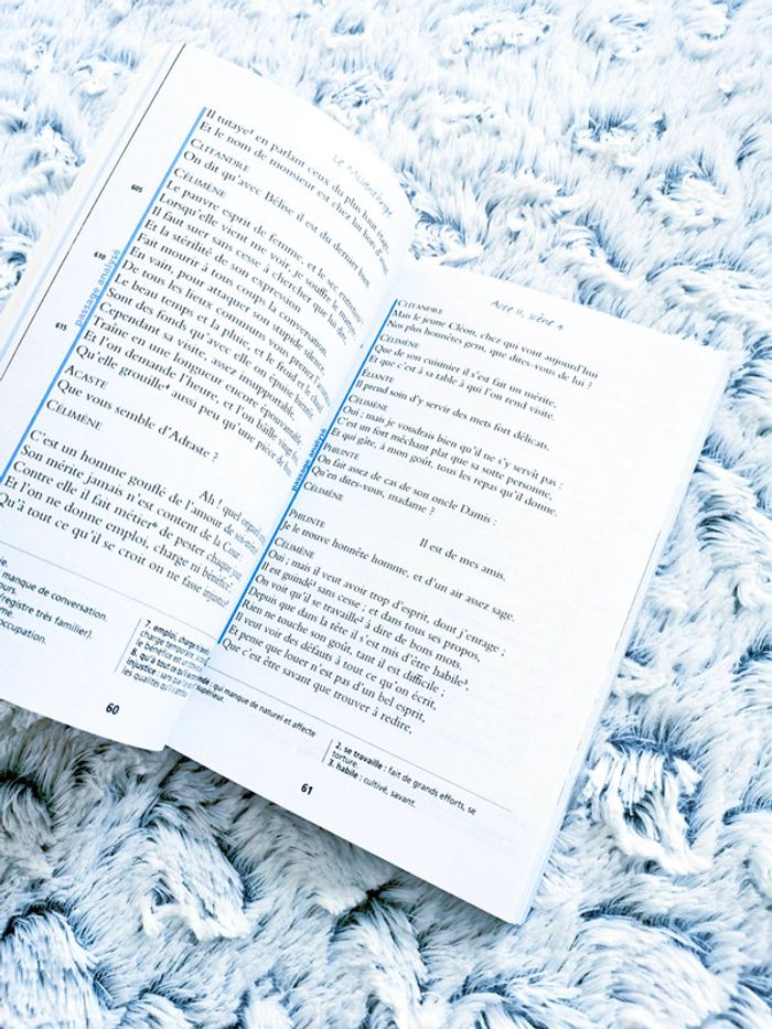 Livre Bibliolycée : Le Misanthrope de Molière 🖤 - photo numéro 3