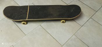 Skate  board