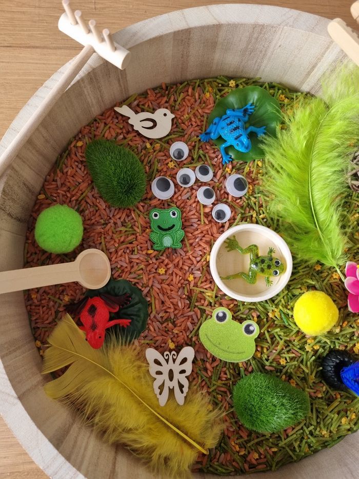 Kit de transvasement sensoriel riz coloré thème "Grenouilles " inspiré Montessori - photo numéro 4