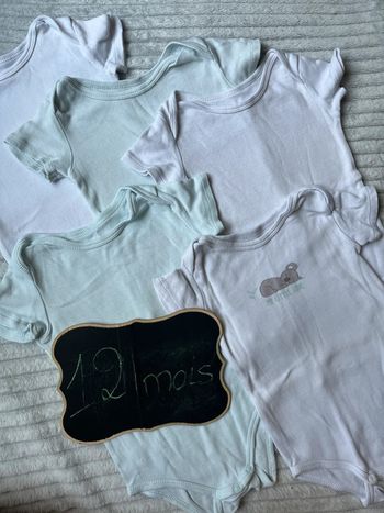 Lot de 5 bodys manches courtes 80 cms