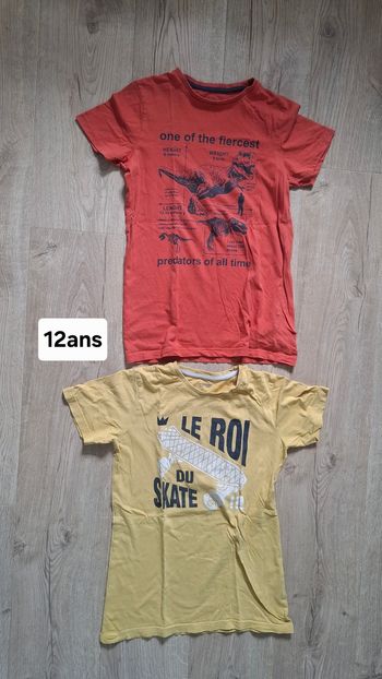 Lot 2 t-shirts 12ans Vert Baudet TBE