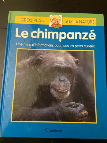 Le chimpanzé gros plan sur la nature