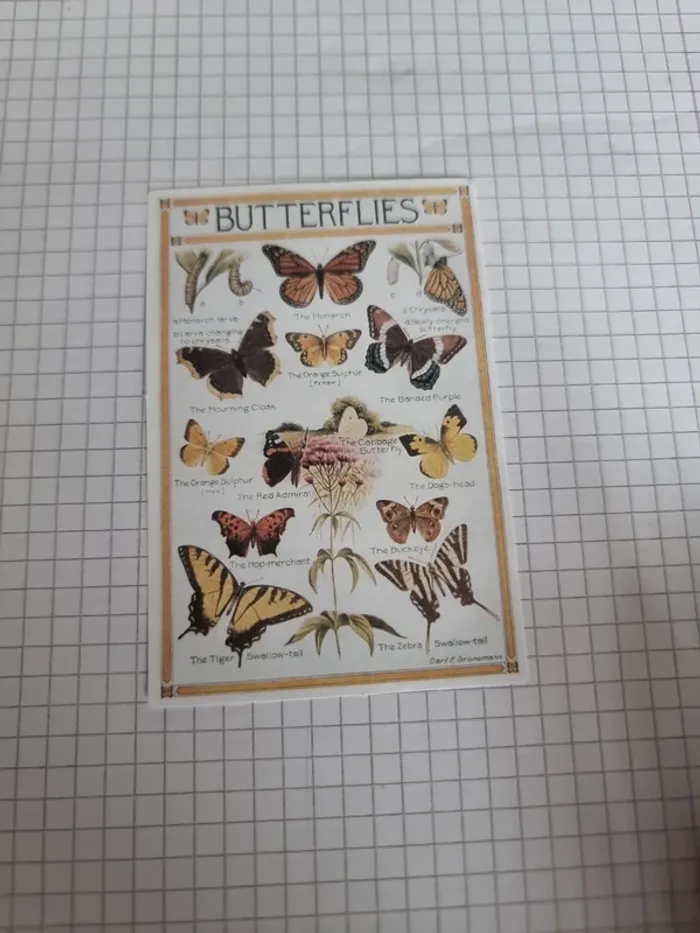 Divers papier scrap (lot B) - photo numéro 6