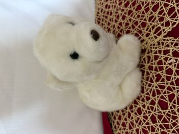 Ours polaire blanc en peluche