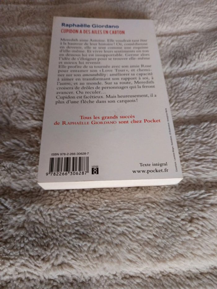 Cupidon a des ailes en carton - photo numéro 4