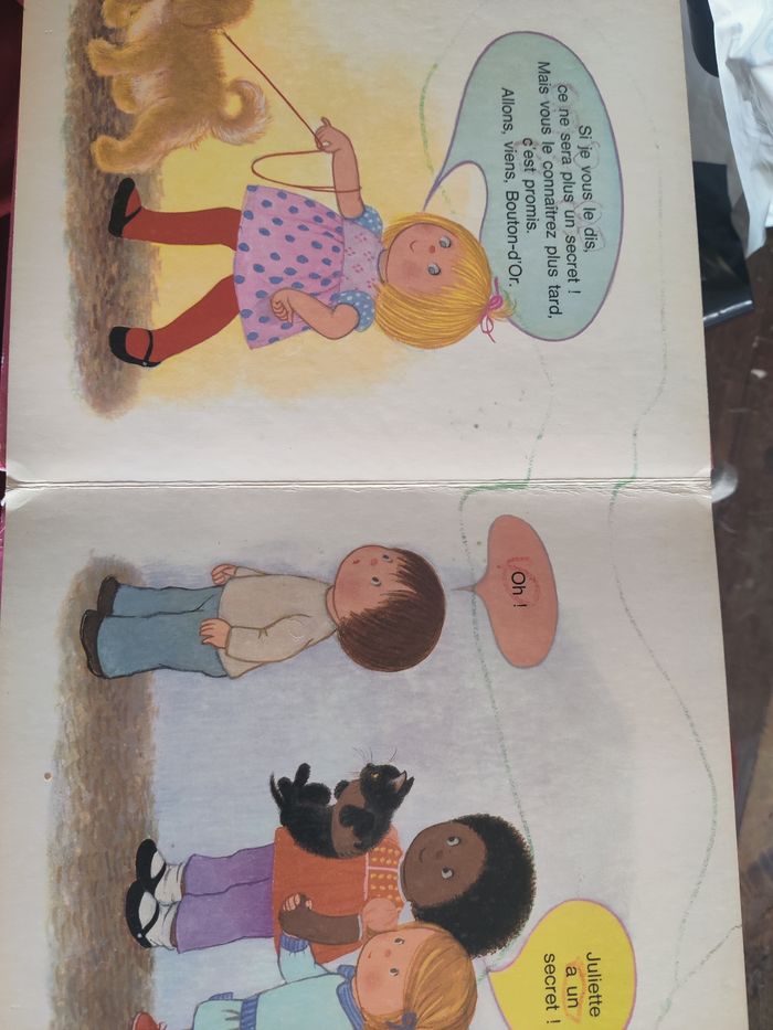 Livre le secret de Juliette - photo numéro 2