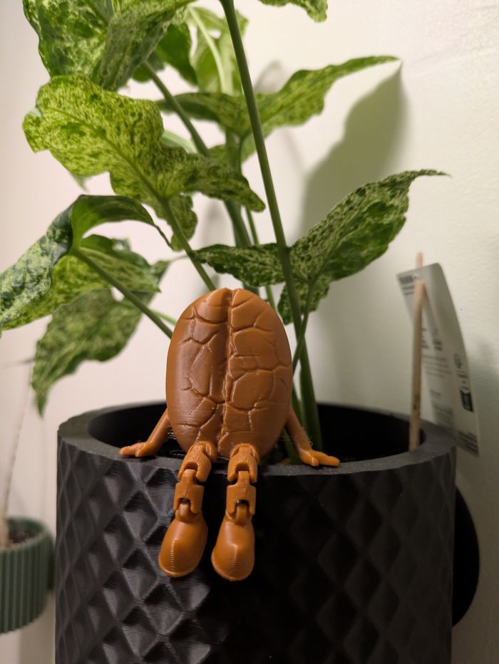 Décoration grain de café - photo numéro 4