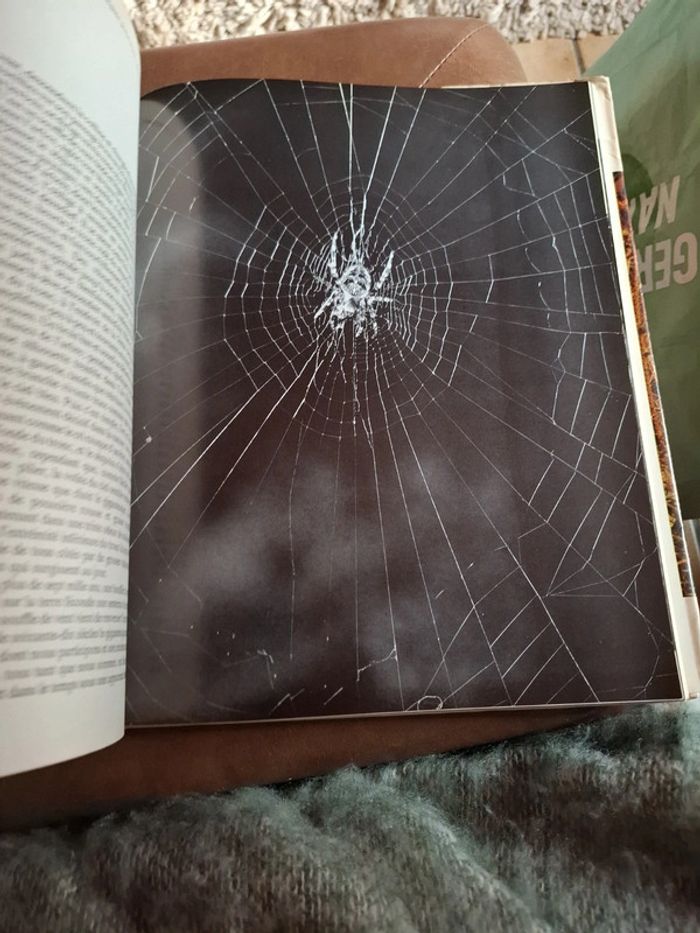 Le grand livre de la forêt. - photo numéro 8