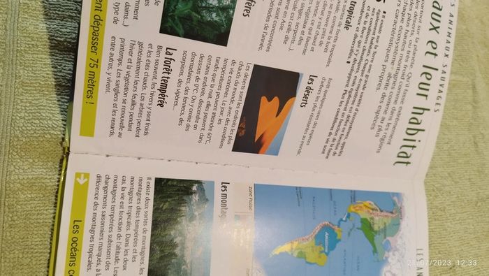 Livre les animaux sauvages - photo numéro 6