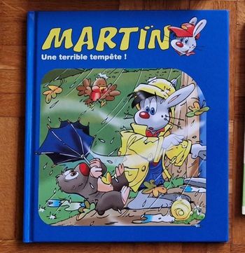 Livre Martin une terrible tempête