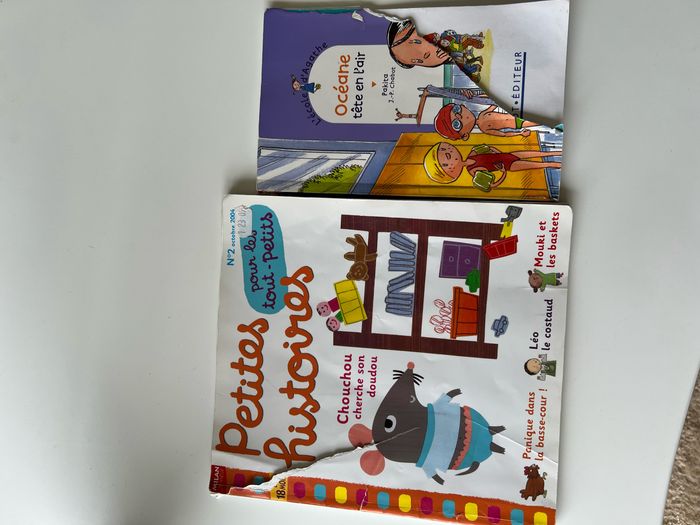 Lot de livres - photo numéro 10