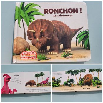 Livre Ronchon! Le Tricératops (58)