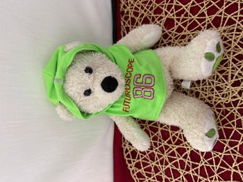 peluche ours blanc parc futuroscope