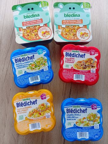 Lot de plats bledina des 15 mois