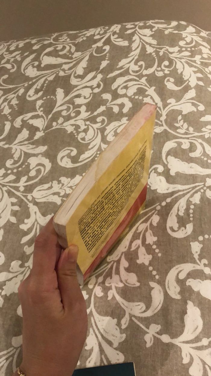 Livre chronique d’une recherche d’emploi exemplaire - photo numéro 3