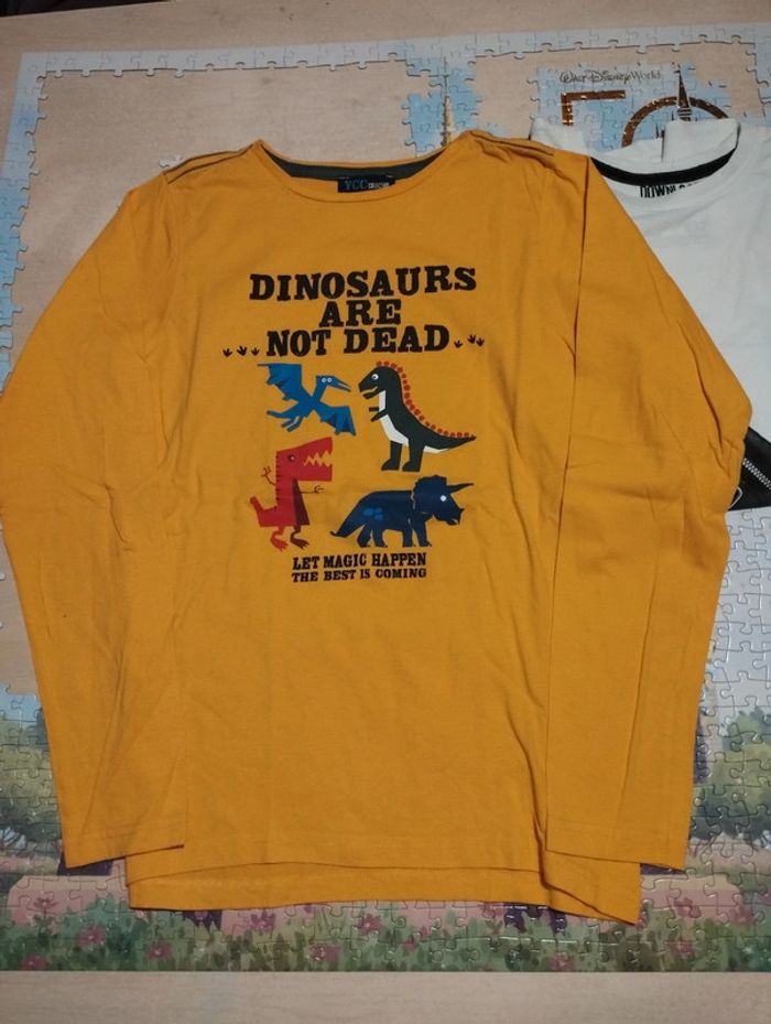 Lot de 8 t-shirt manches longues - photo numéro 14