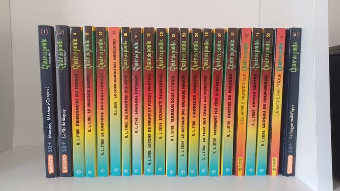 Lot 21 tomes Livres chair de poule - photo numéro 2