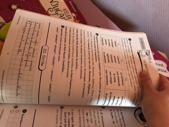Dictées préparées CE1 MDI - photo numéro 3