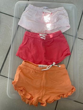 Lot 3 shorts