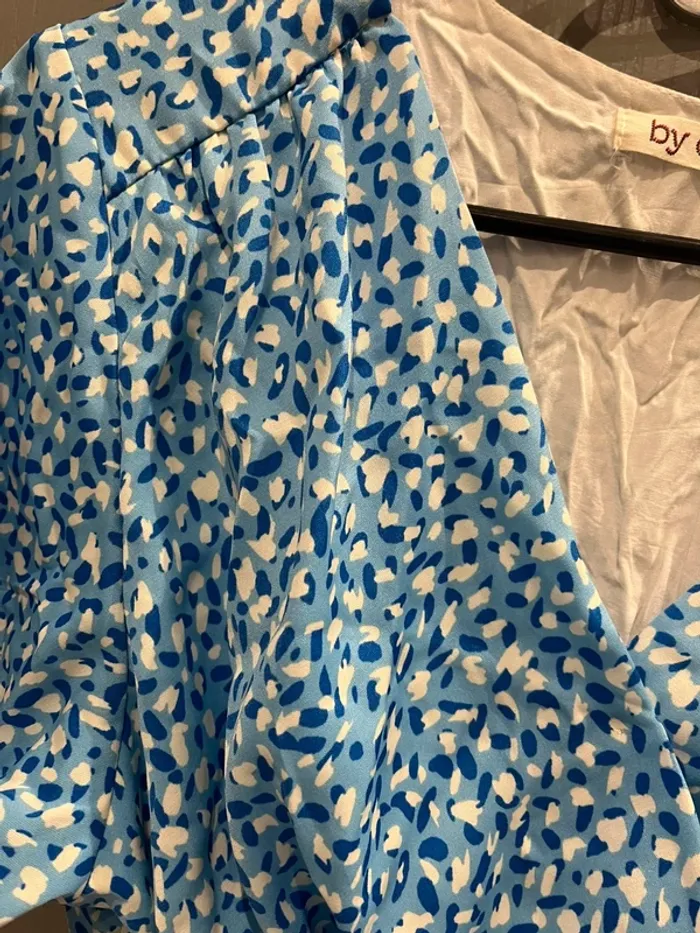 Robe bleue - photo numéro 2