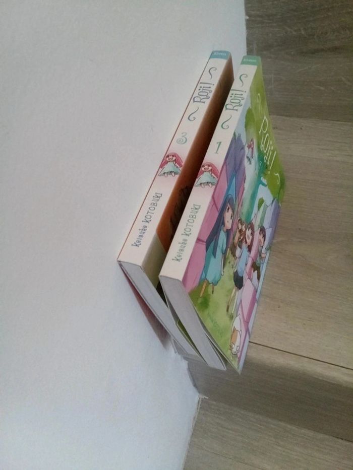 Roji 1 et 3 - photo numéro 6