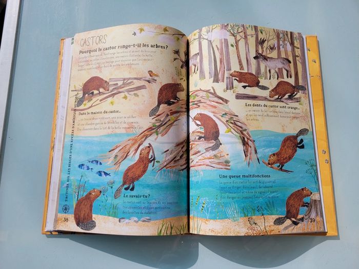 Grand livre 🐆 Nos Incroyables Bêtes Sauvages 🦥 - photo numéro 8