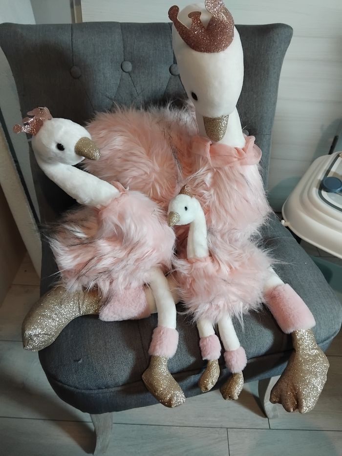 Cygnes histoire d'ours - photo numéro 10