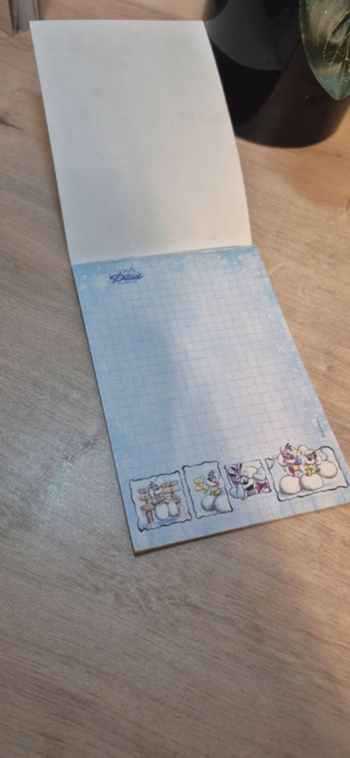 Carnet de feuilles diddl - photo numéro 3