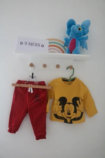 Ensemble Disney 9 mois