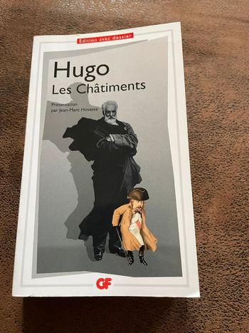 Livre Hugo les châtiments