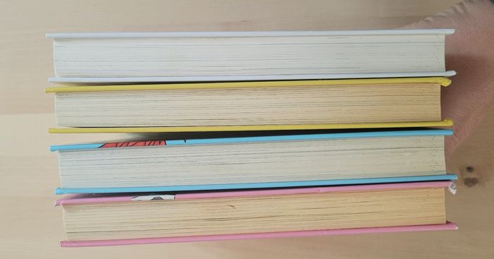 Lot 4 livres "Princesse Catastrophe " - photo numéro 6